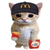 🐈