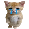 🐈