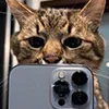 😺