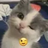 😉
