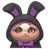 🐰