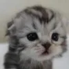😧