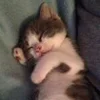 😴