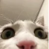 👀