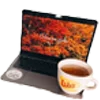 💻