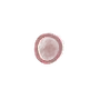 🟣