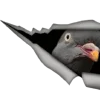 🕊