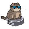 😎