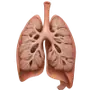 Эмодзи Medicine