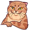 Эмодзи memcat