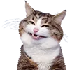 😀