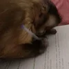 ✍️