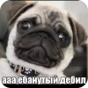 Эмодзи Мопсики