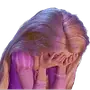 Эмодзи мультяшки