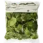 🥬