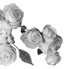 🌹