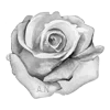 🥀