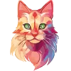 🐈‍⬛