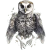 🦉