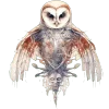 🦉