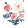 🌺