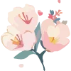 🌺