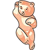 🐻