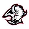 Эмодзи NHL emoji