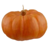 🎃