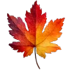🍁