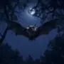 🤩