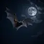 🤩