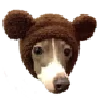 🐻