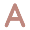 🤎