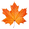 🍂