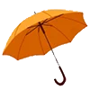 ☂️