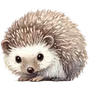 ⭐