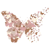 🦋