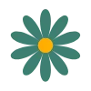 🌼