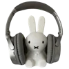 🐰