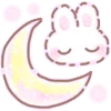 🌙