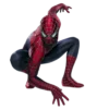 🕷️