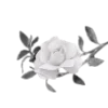 🗝️
