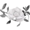 🗝️