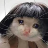 🥺