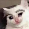 Эмодзи sadcatemoji