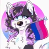 🌈