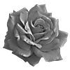 Эмодзи sexy black and white