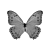 Эмодзи sexy black and white