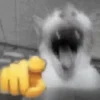 ?